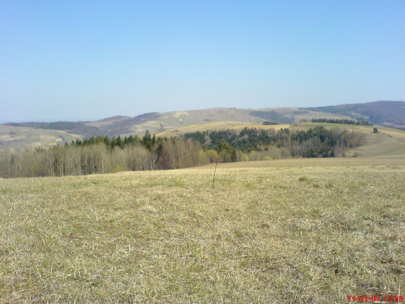 dsc00081.jpg