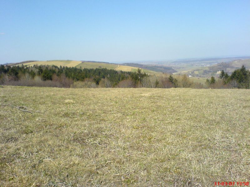 dsc00082.jpg