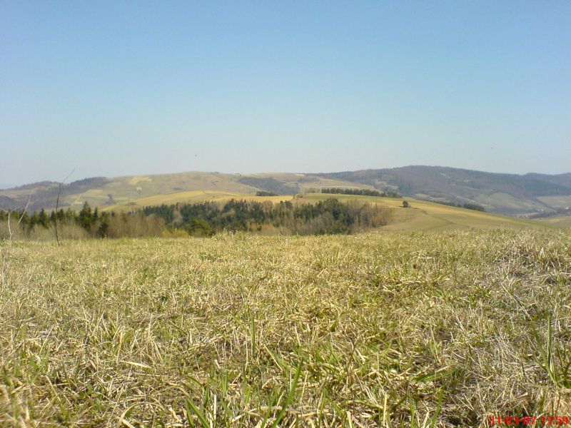 dsc00085.jpg