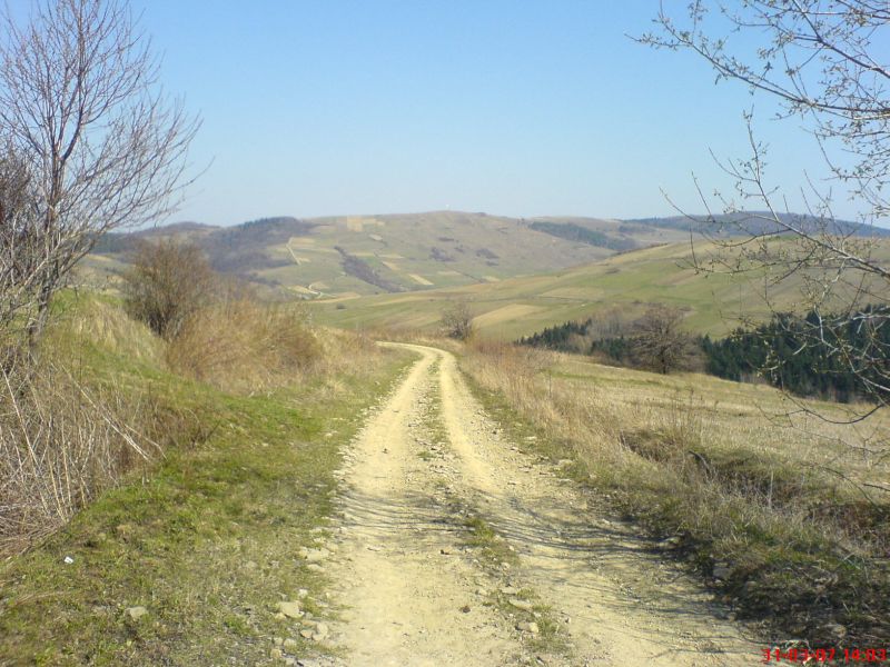 dsc00087.jpg