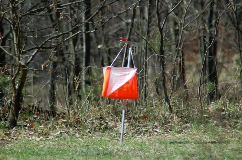 dsc_1342.jpg