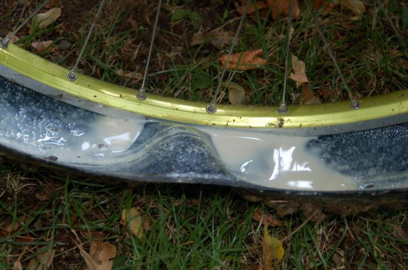 dsc_0065.jpg