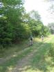 img_1021_t1.jpg