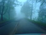 dsc01431_resize_t1.jpg