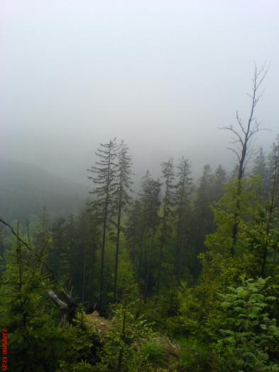 dsc01477_resize.jpg