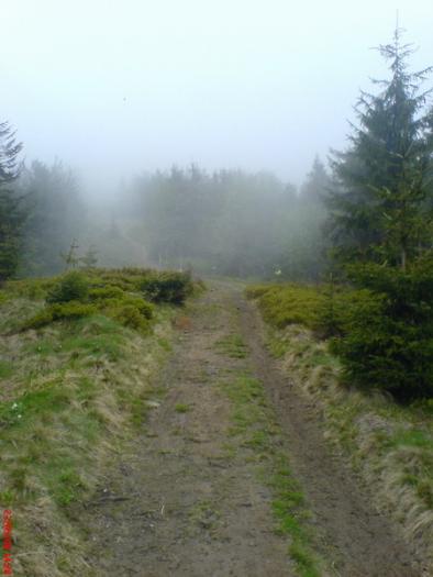 dsc01482_resize.jpg