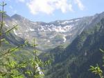 img_1203_t1.jpg