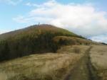 dsc00544_t1.jpg