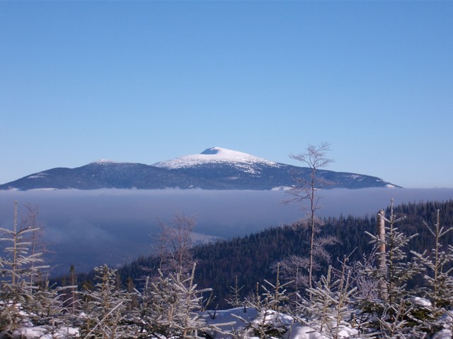 dscf0097.jpg