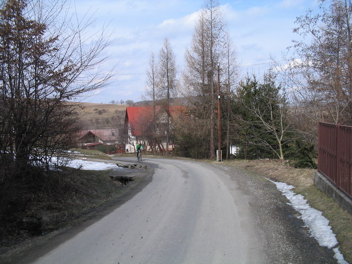 010.jpg