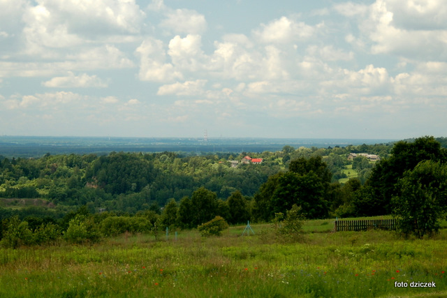 dsc_0747.jpg