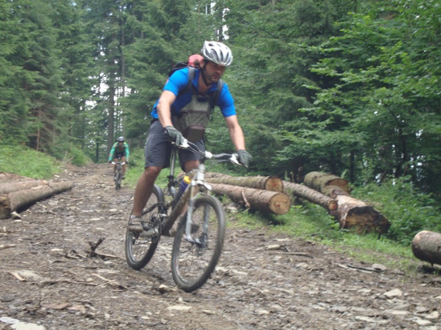 43.jpg