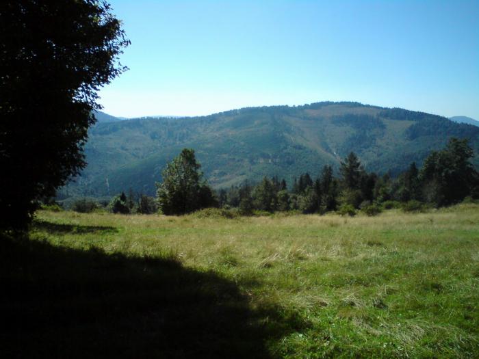 dsc02340_resize.jpg
