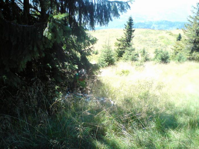 dsc02359_resize.jpg