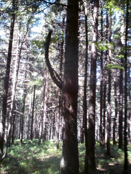 dsc02371_resize.jpg