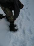 img_3047a_t1.jpg