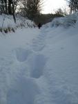 img_3049a_t1.jpg