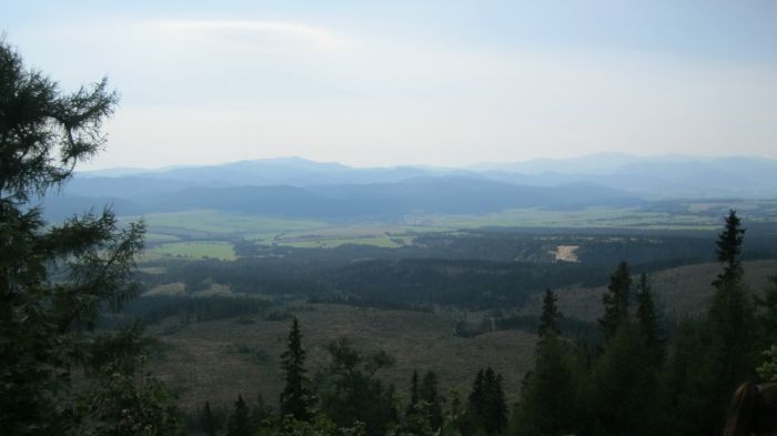 img_1062.jpg