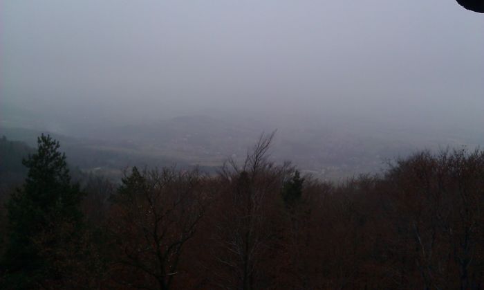 imag0311.jpg