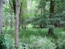 photo_822_t1.jpg