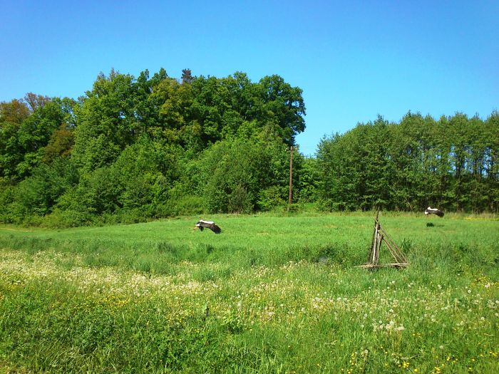 dsc_0027.jpg