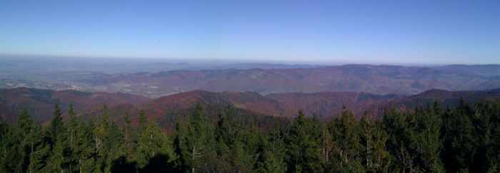imag0651a.jpg
