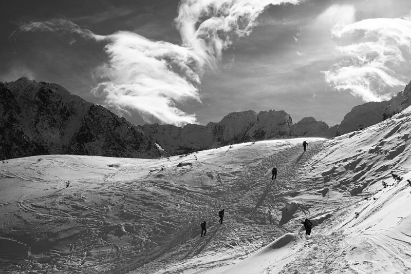 prewki_img_6626_fot_piotr_markowski.jpg