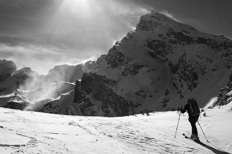 prewki_img_6634_fot_piotr_markowski.jpg