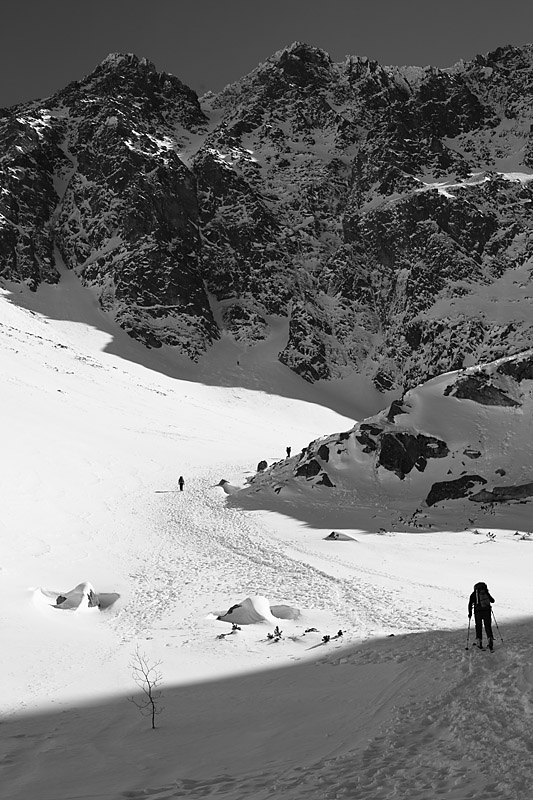 prewki_img_6708_fot_piotr_markowski.jpg