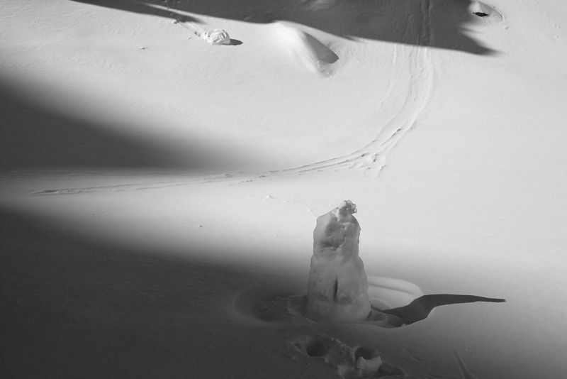 prewki_img_6720_fot_piotr_markowski.jpg