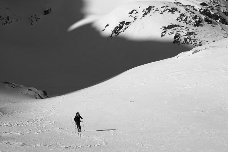prewki_img_6790_fot_piotr_markowski.jpg