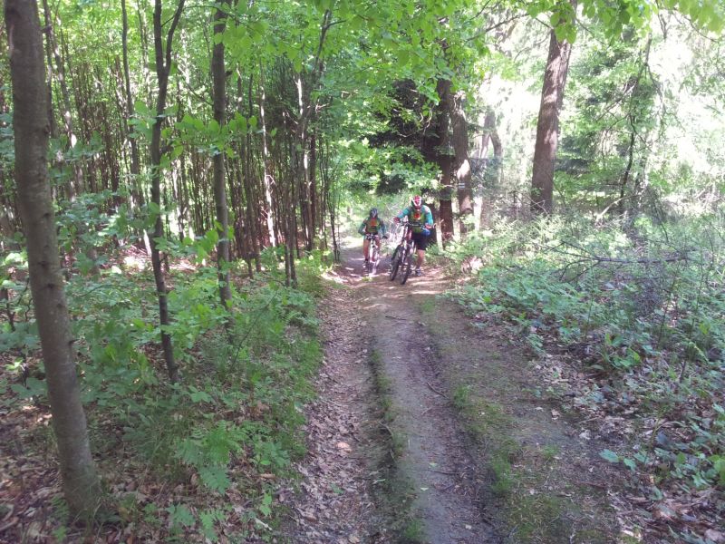 20140510_115445.jpg