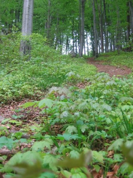 photo_1155.jpg