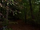 rudno33_t1.jpg