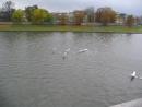 img_6748_resize_t1.jpg