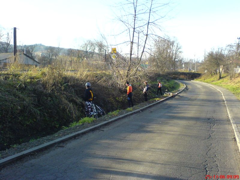 dsc00007.jpg
