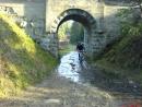 dsc00009_t1.jpg
